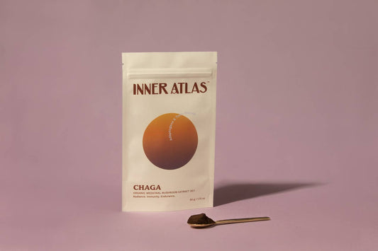 Økologisk Chaga Sopp Ekstrakt 50g