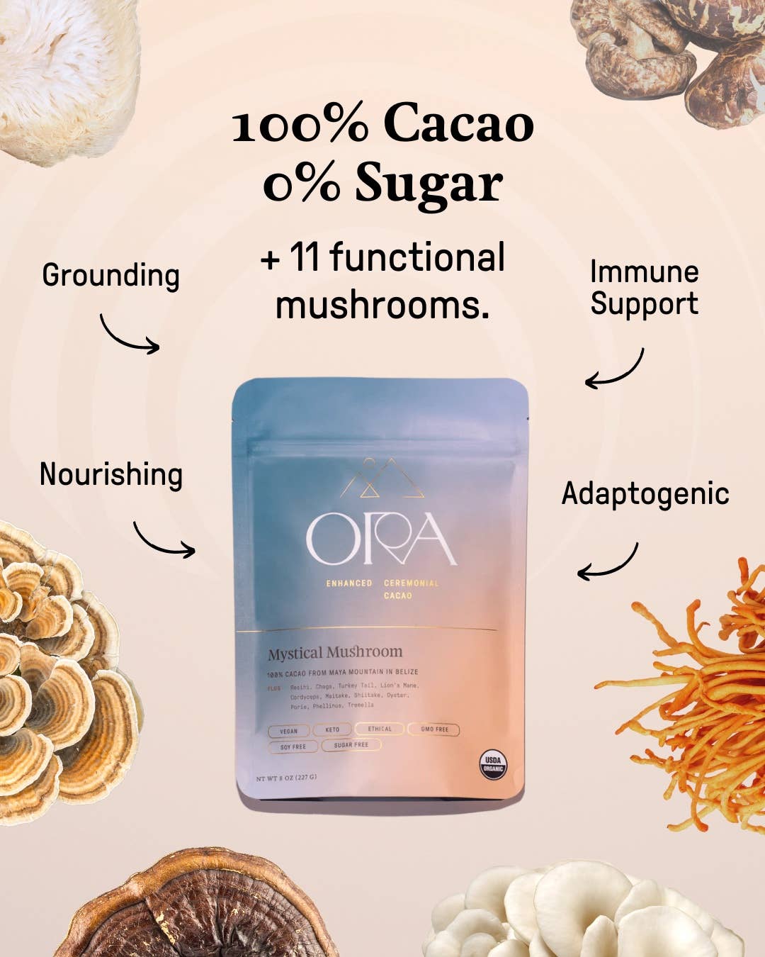 Mystical Mushroom Cacao - Økologisk seremoniell kakao 226 gram
